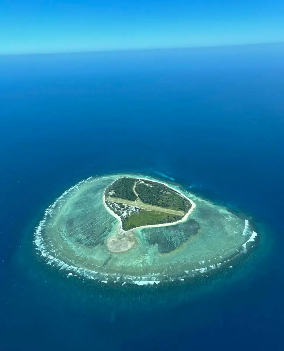 Steamboat Aviator | Lady Elliot vs. Heron Island: Which Coral Cay is Better for 2026? Great Barrier Reef Tours