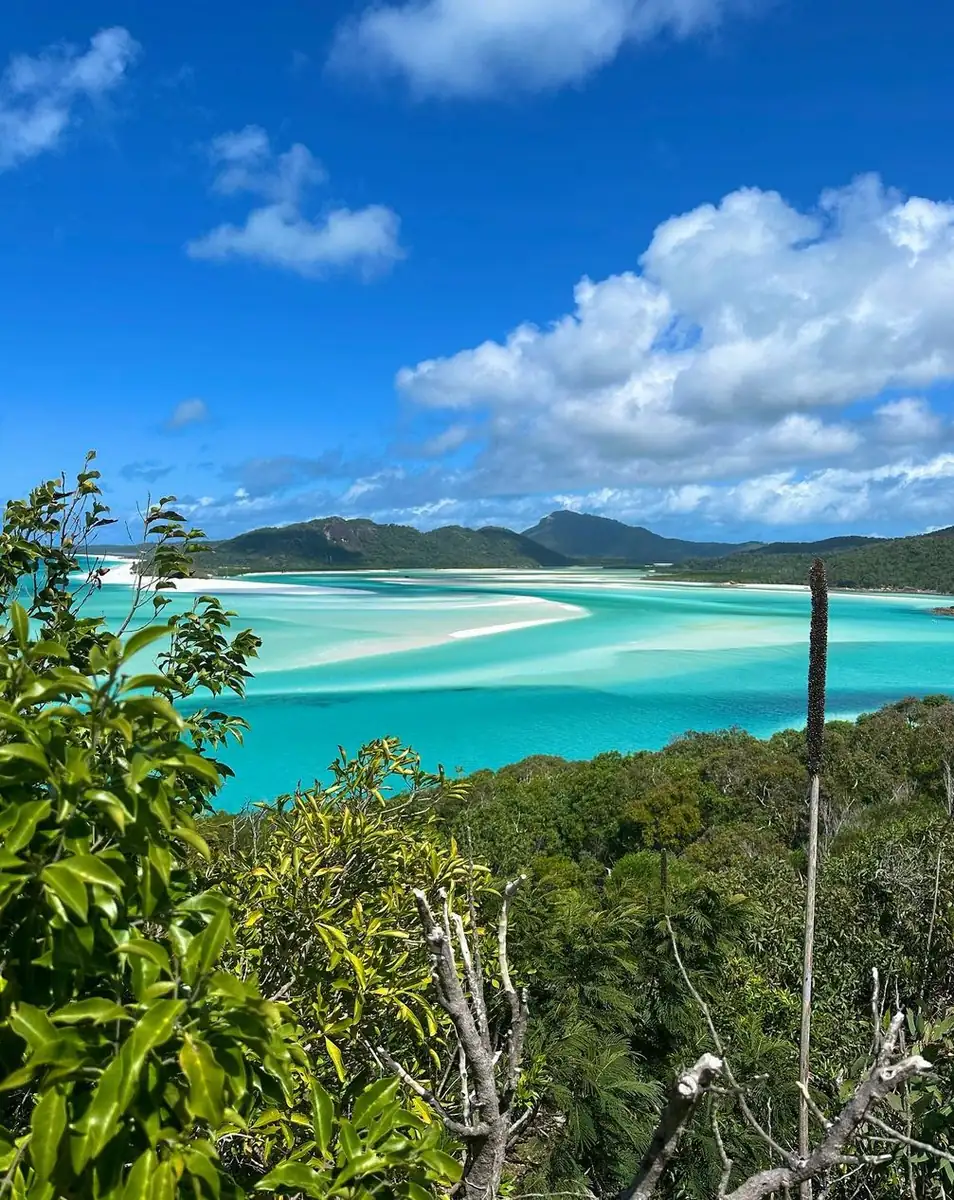 Steamboat Aviator | Lady Elliot vs. Heron Island: Which Coral Cay is Better for 2026? How These Ladies Stack Up Against Other Reef Spots