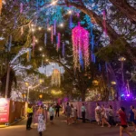 Steamboat Aviator | Rent Snow Equipment & Clothing for Your Melbourne Snow Trip Top 10 Local Tips for Visiting Darwin in Spring