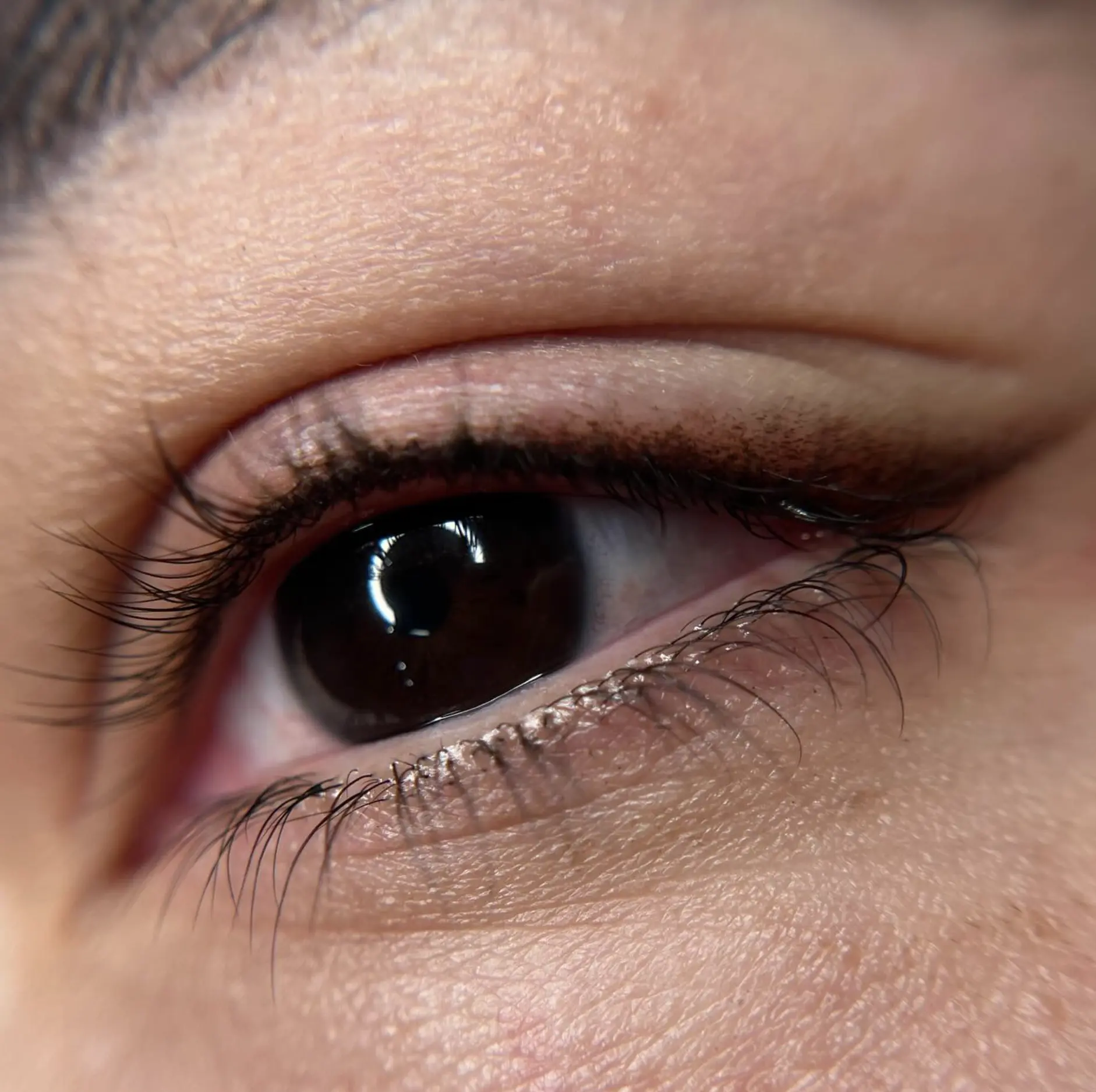 Steamboat Aviator | Eyeliner Tattoo Pros and Cons eyeliner tattoo healing process