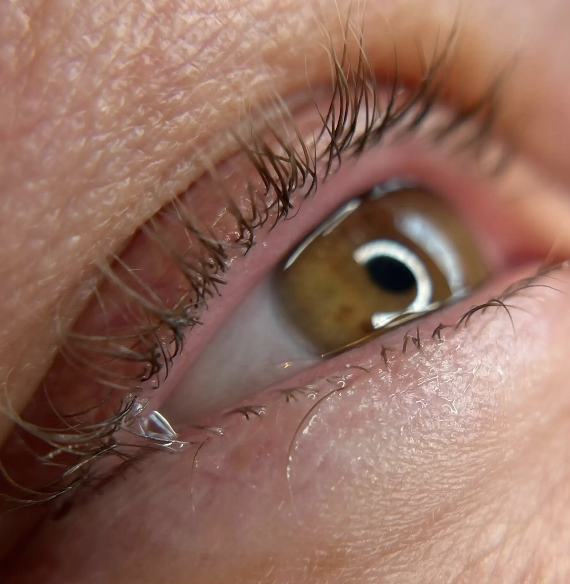Steamboat Aviator | Eyeliner Tattoo Pros and Cons eyeliner tattoo in Brisbane